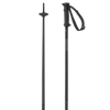 POLAR ACCESS SKI POLES