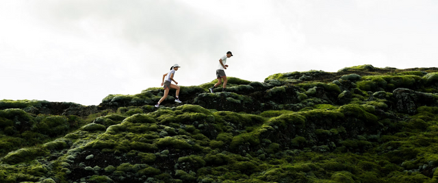 How Often Should I Run?