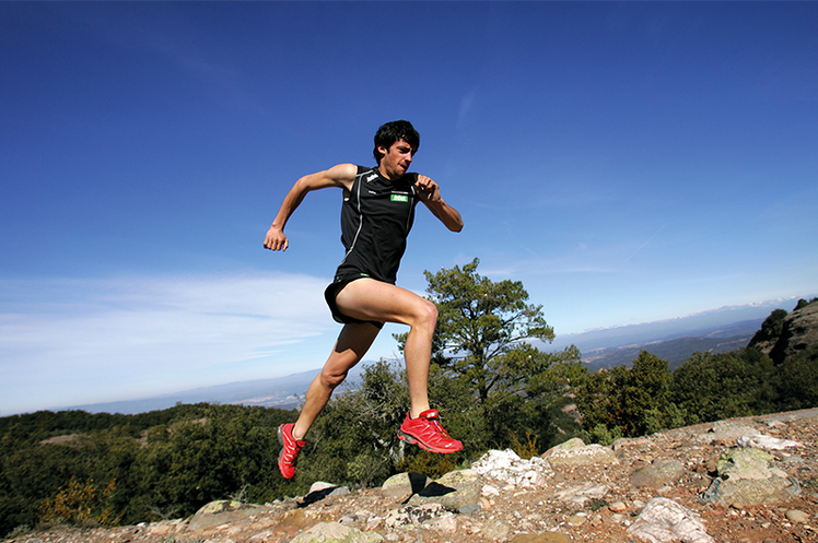 Salomon online shoes origin