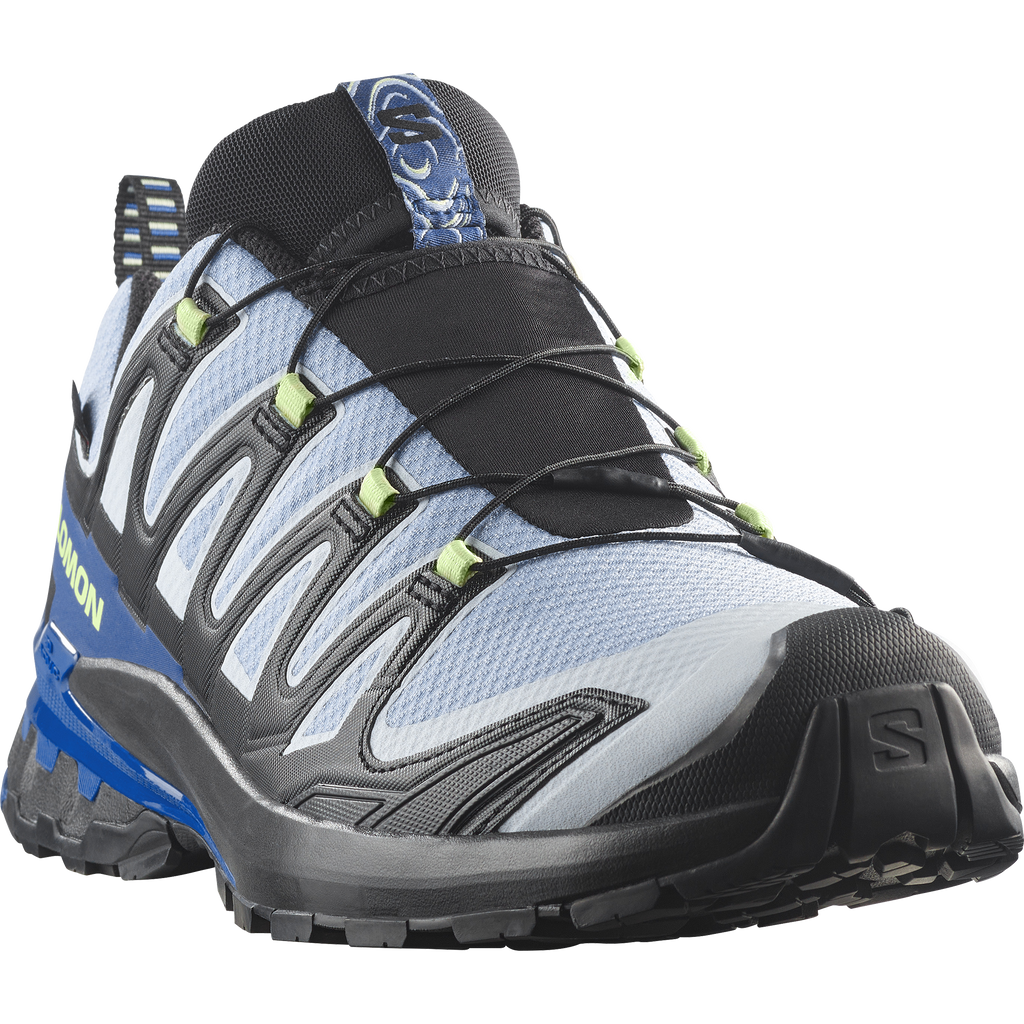 XA PRO 3D V9 GORE-TEX STORM