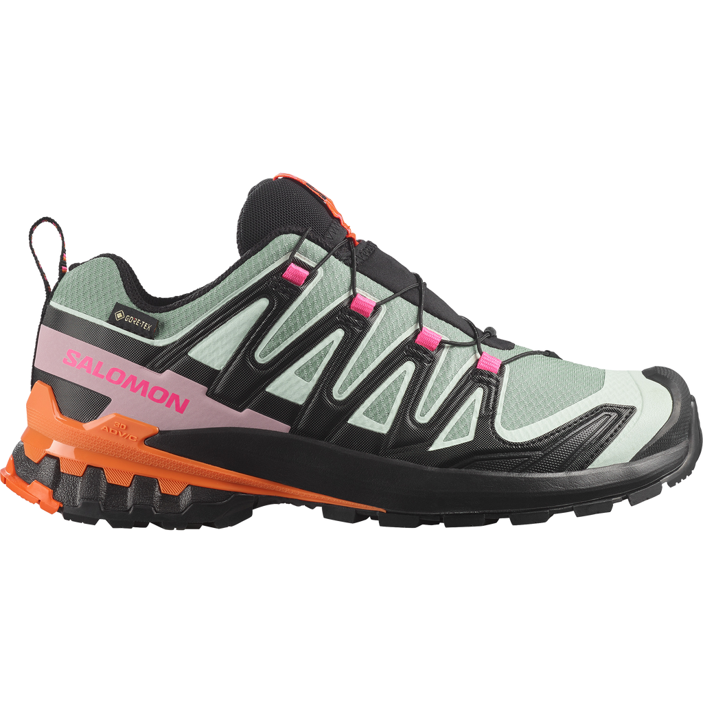 XA PRO 3D V9 GORE-TEX STORM
