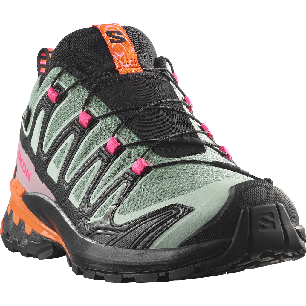 XA PRO 3D V9 GORE-TEX STORM