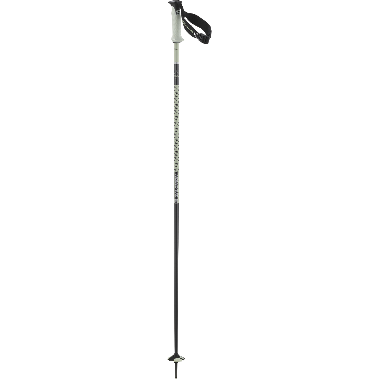 POLAR PRO S3 SKI POLES