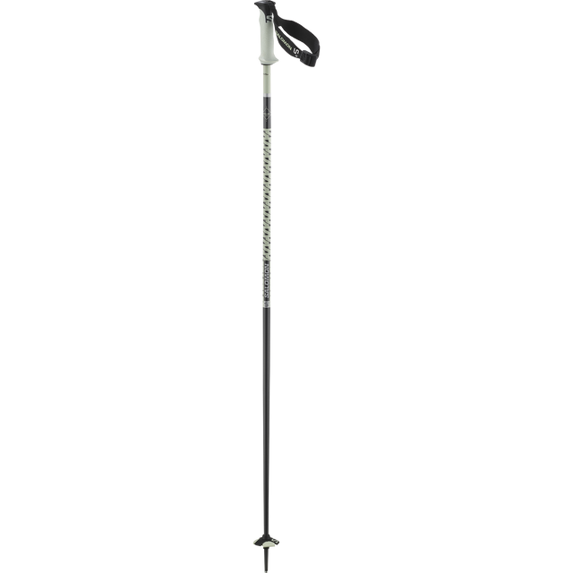 POLAR PRO S3 SKI POLES