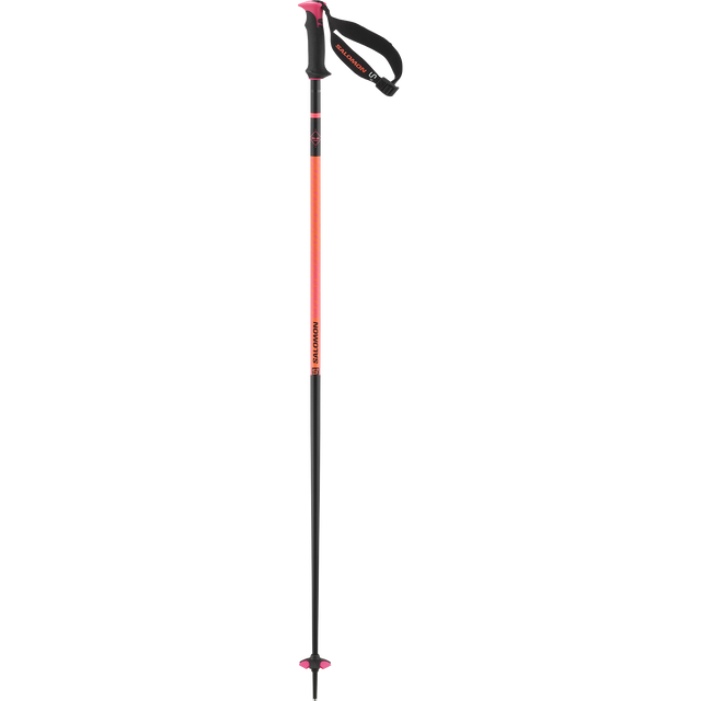 POLAR PRO S3 SKI POLES