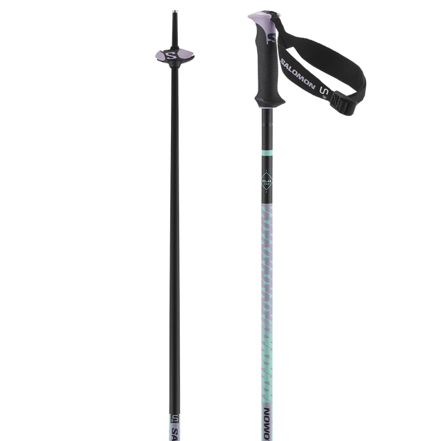 POLAR PRO S3 SKI POLES