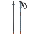 POLAR PRO SKI POLES