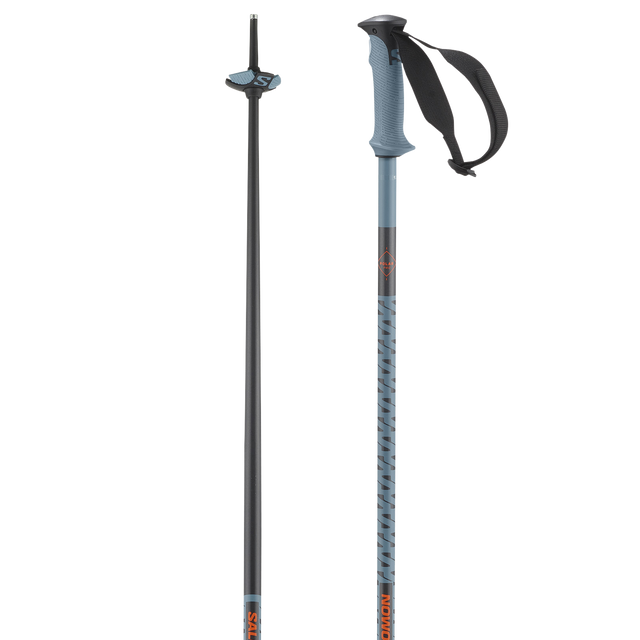 POLAR PRO SKI POLES