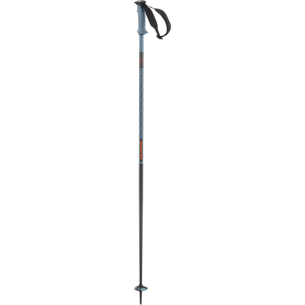 POLAR PRO SKI POLES