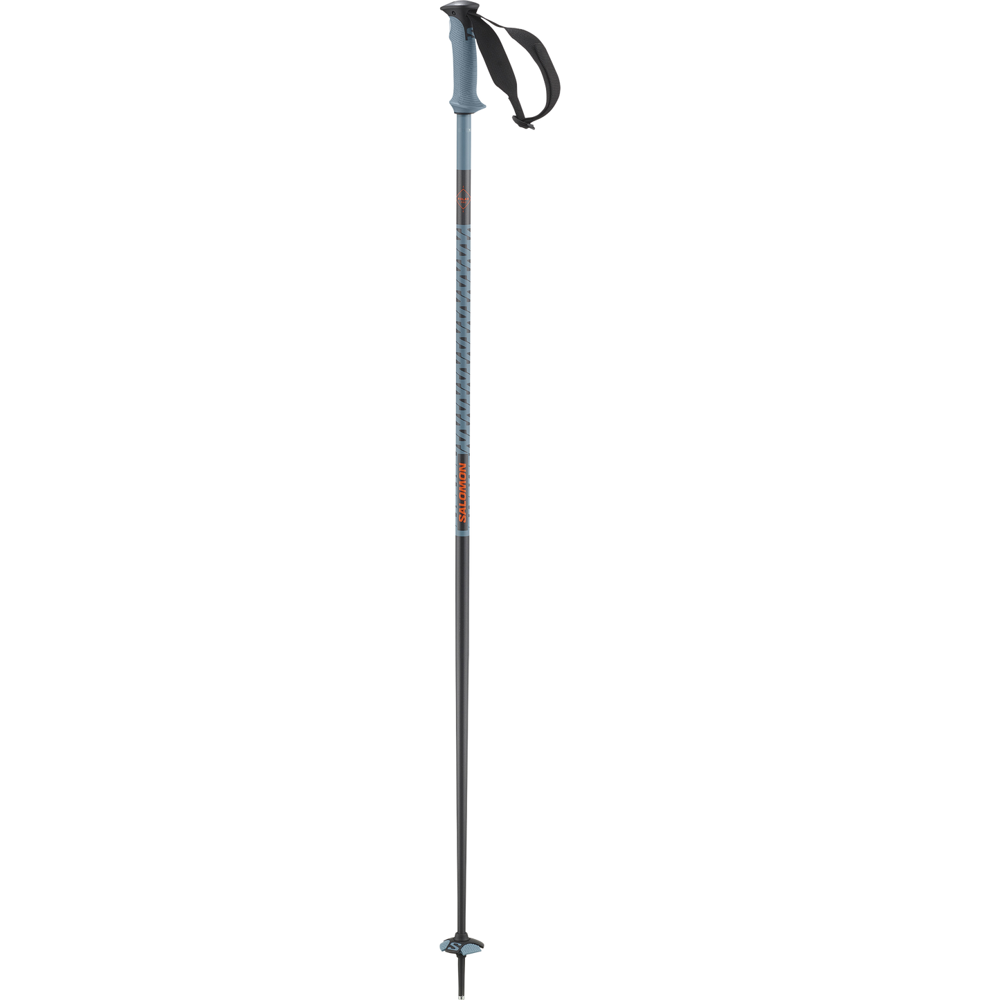 POLAR PRO SKI POLES