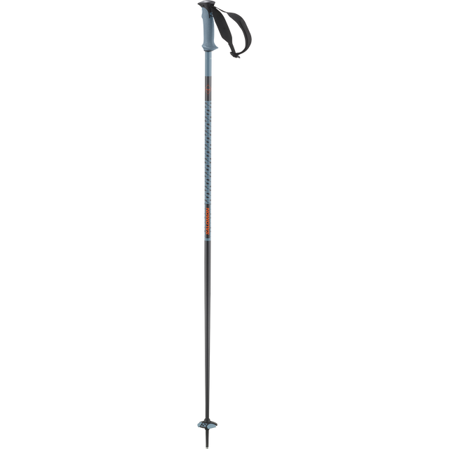 POLAR PRO SKI POLES