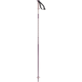POLAR