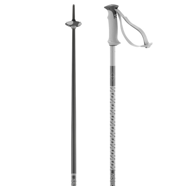 POLAR SKI POLES