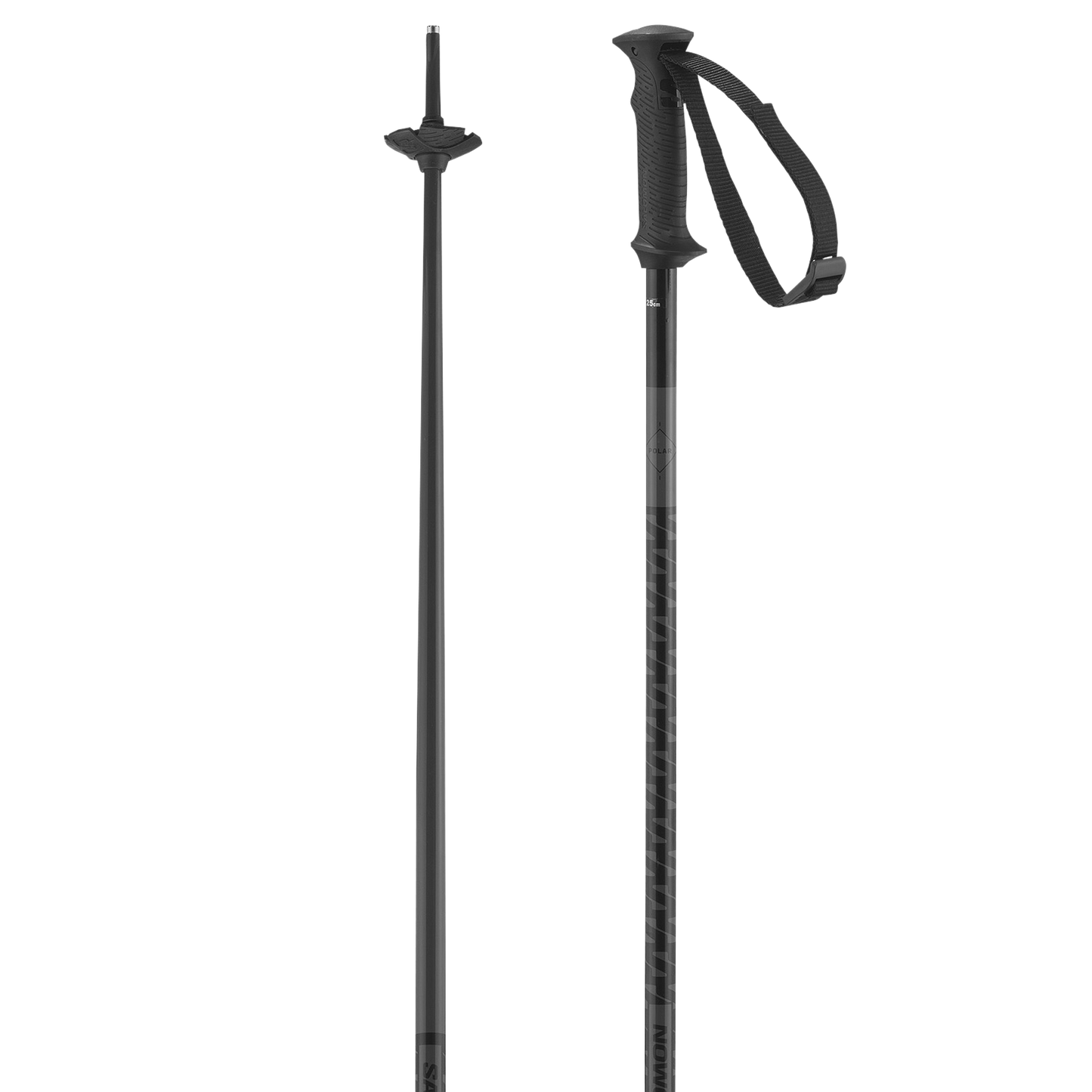 POLAR ACCESS SKI POLES