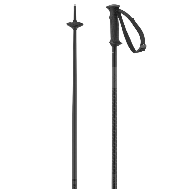 POLAR ACCESS SKI POLES