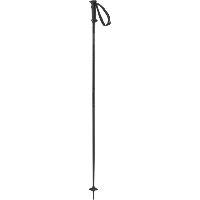 POLAR ACCESS SKI POLES