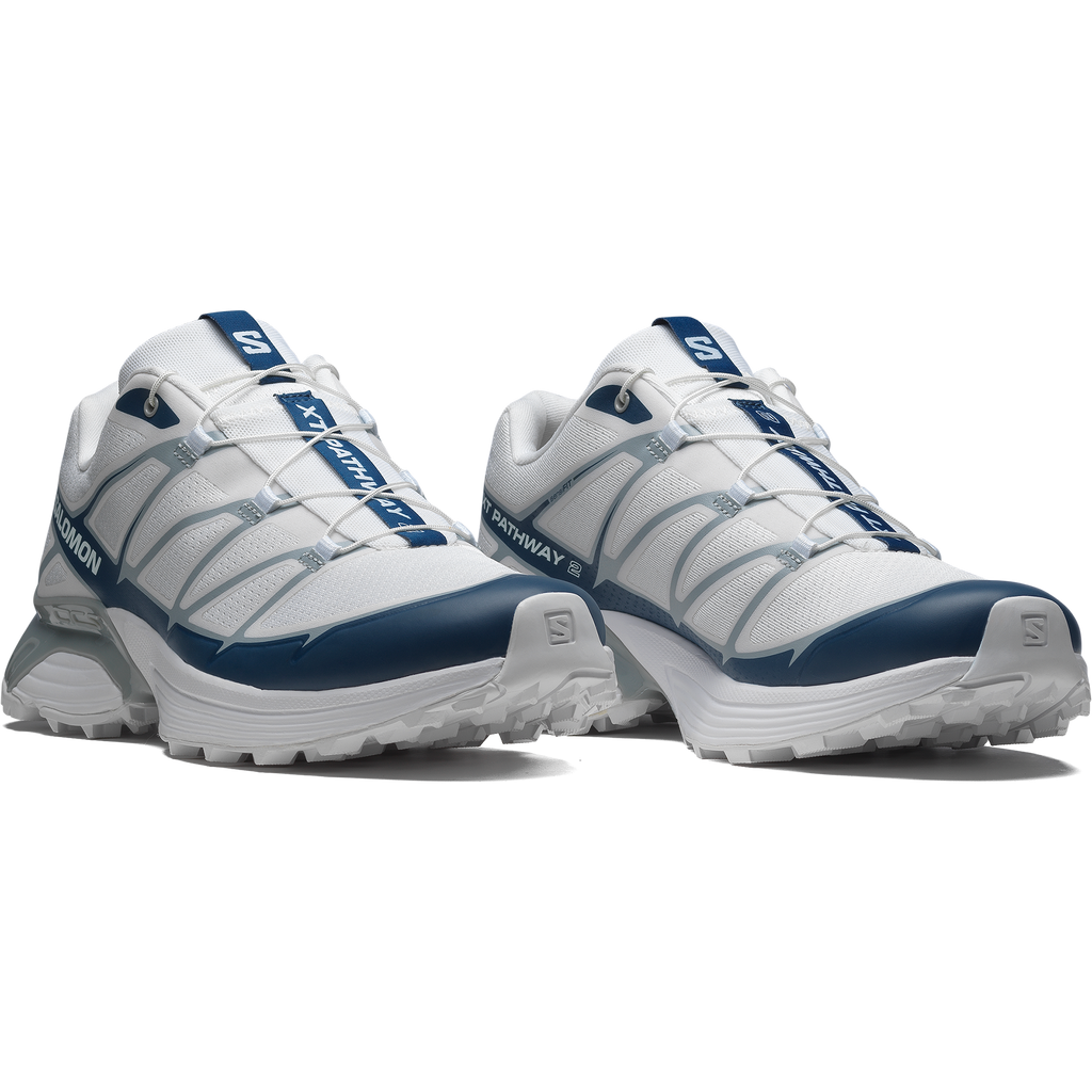 XT-PATHWAY 2