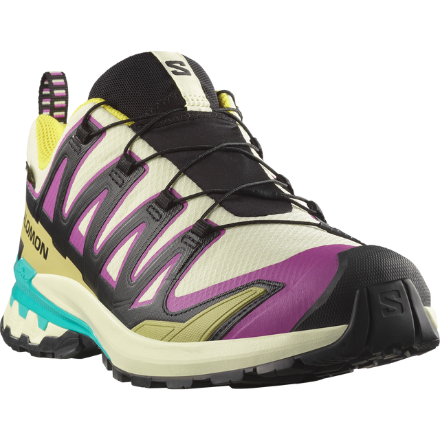 XA PRO 3D V9 GORE-TEX MEN'S