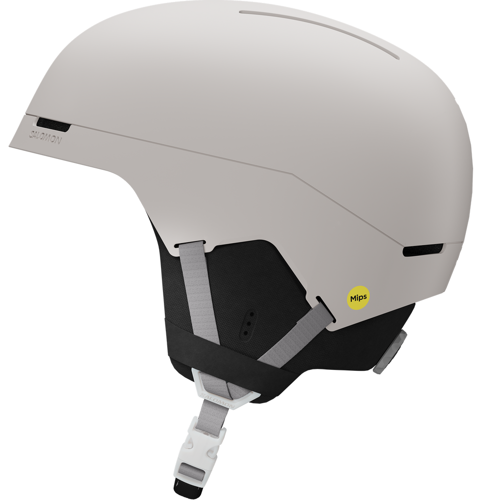 BRIGADE INDEX MIPS