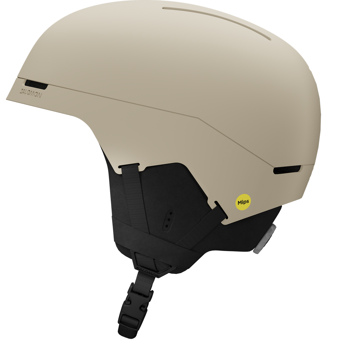 BRIGADE INDEX MIPS