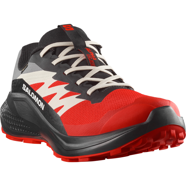 ALPHAGLIDE GORE-TEX MEN'S