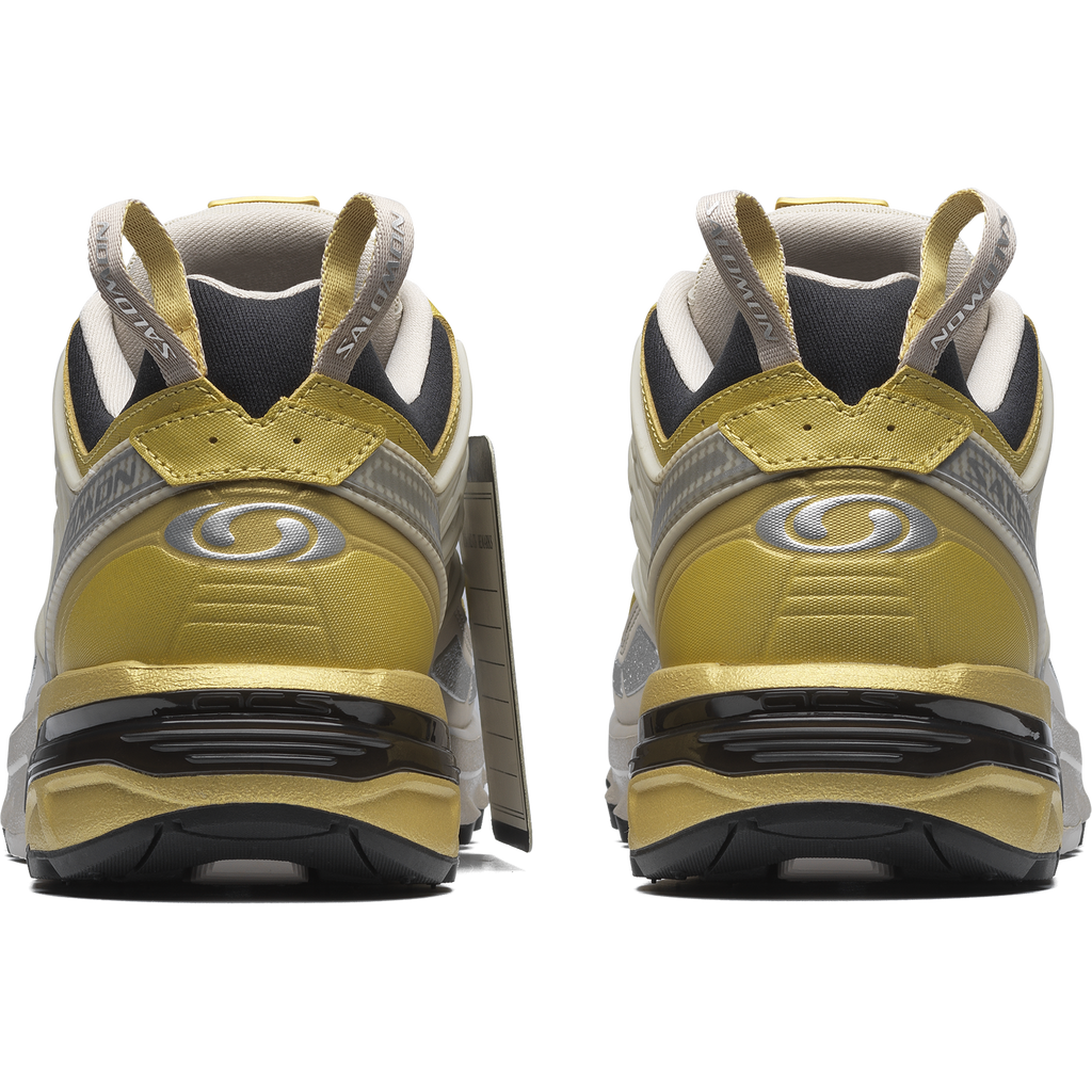 ACS PRO 20 Years Anniversary Golden Archive