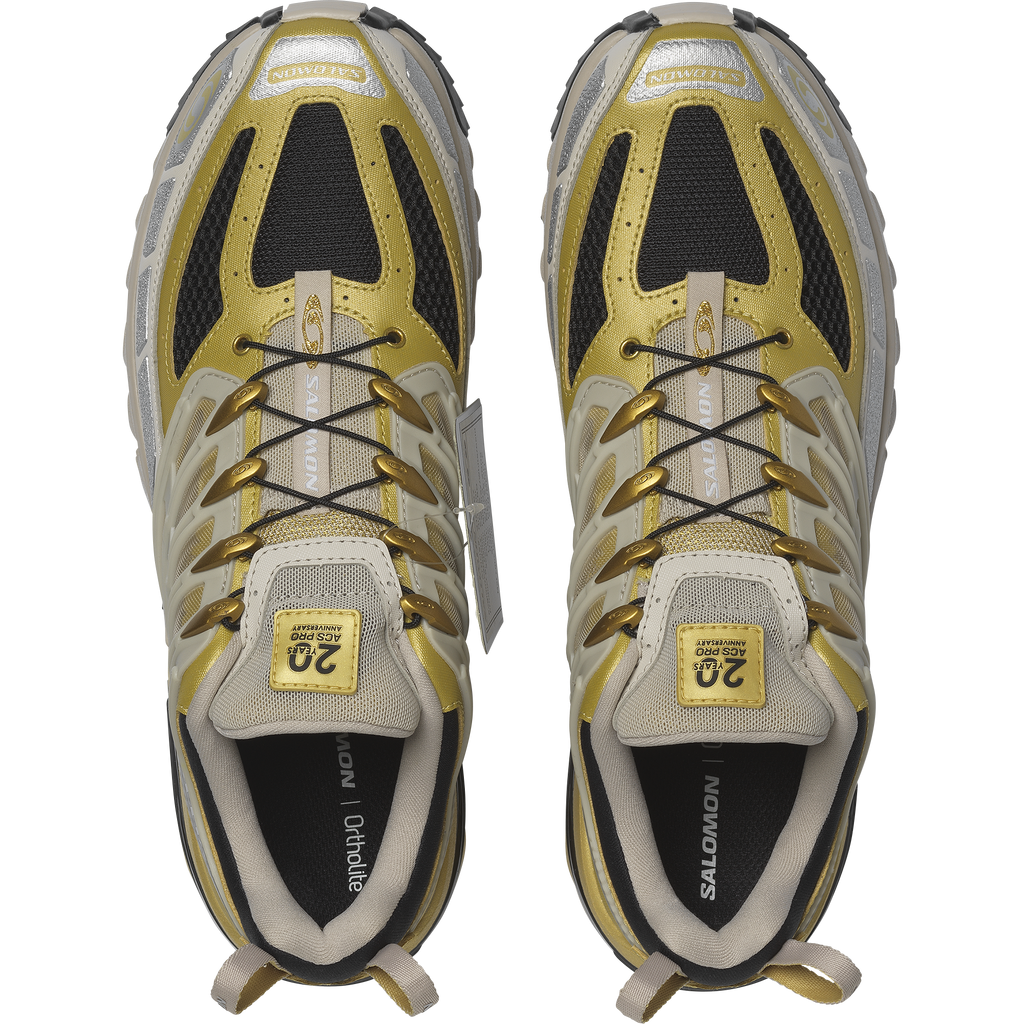 ACS PRO 20 Years Anniversary Golden Archive