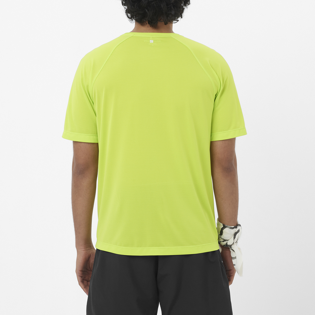 SHAKEout CORE
