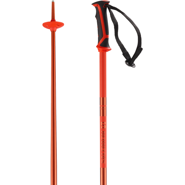 Salomon arctic ski online pole