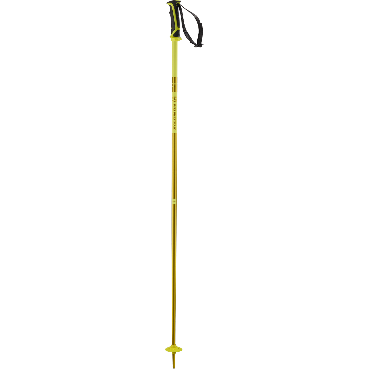 Buy ARCTIC SKI POLES by Salomon Australia online Salomon Australia