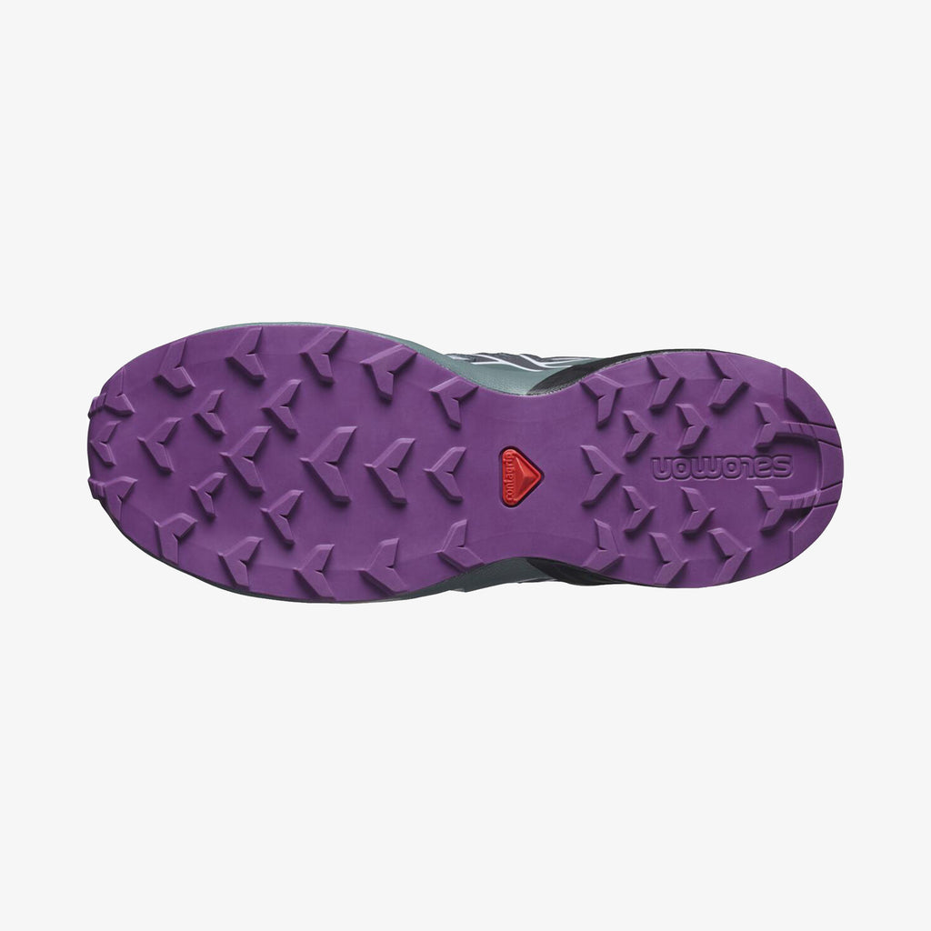 Salomon speedcross vs adidas terrex best sale